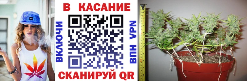Амфетамин Шагонар