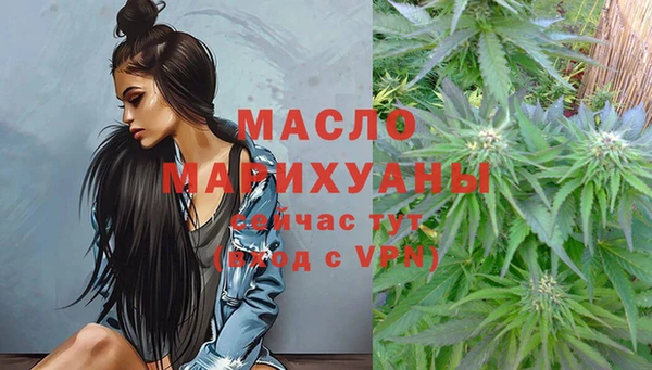 шишки Елизово