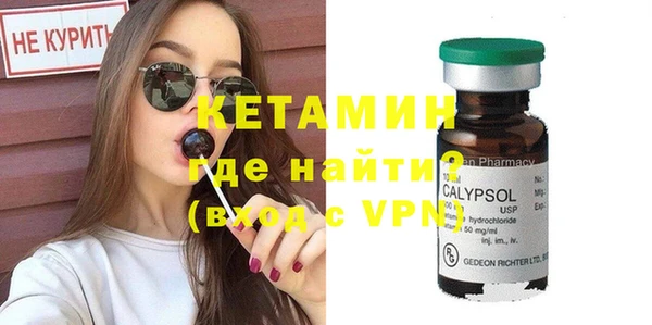 мдпв Ельня