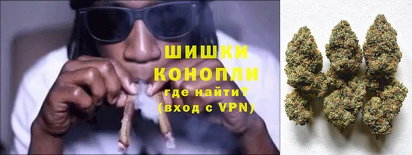 мдпв Ельня