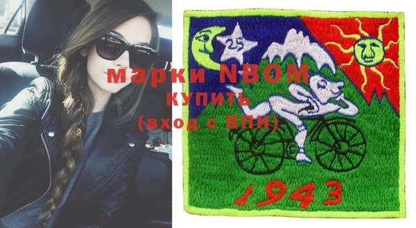 мдпв Ельня