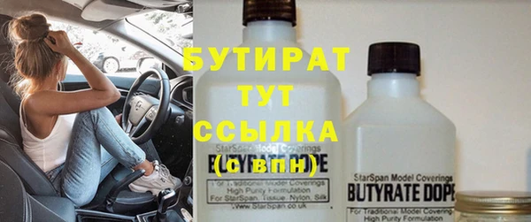 мдпв Ельня