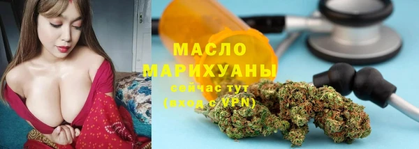 мет Елабуга