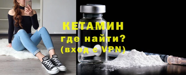 мдпв Ельня