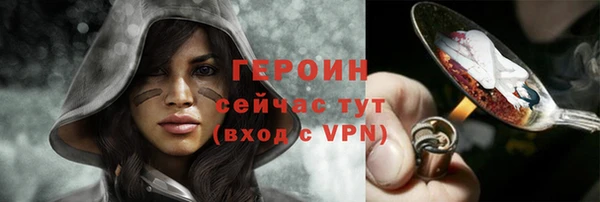 мдпв Ельня