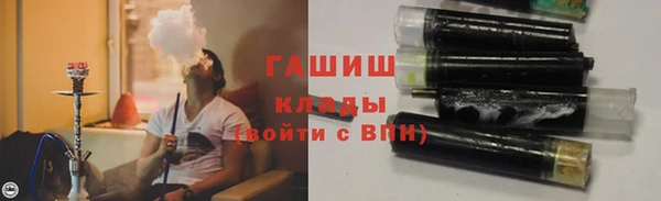 мдпв Ельня