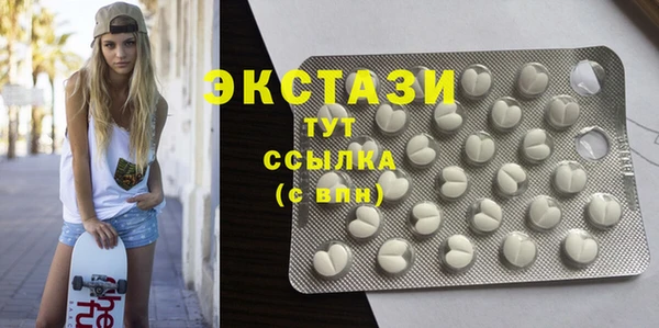 мдпв Ельня