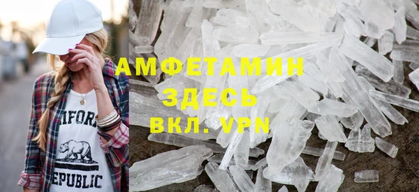 мдпв Ельня