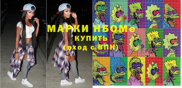 шишки Елизово