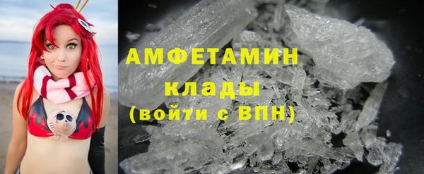 шишки Елизово