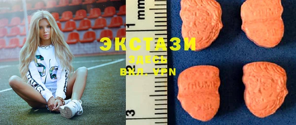 мдпв Ельня