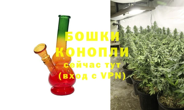 мдпв Ельня