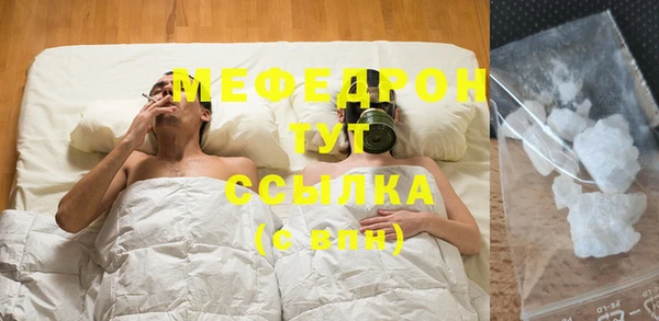 мдпв Ельня