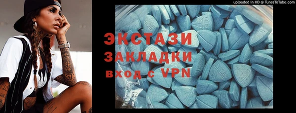 мдпв Ельня