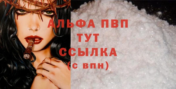 мдпв Ельня