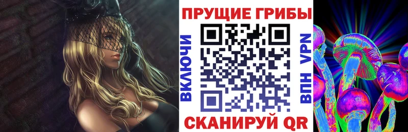 Псилоцибиновые грибы ЛСД Купить где Шагонар