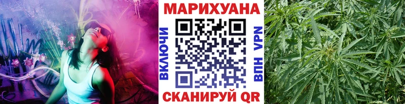 Купить закладки Шагонар Марихуана Amnesia